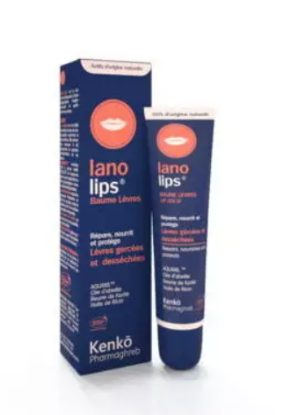 Image de KENKO LANOLIPS BAUME A LEVRE NOURRIT SPF20 15ML